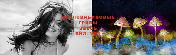 скорость Аркадак