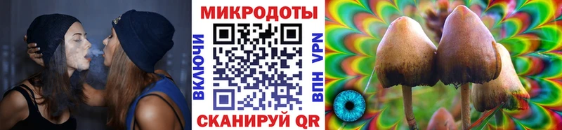 Галлюциногенные грибы мицелий Фокино